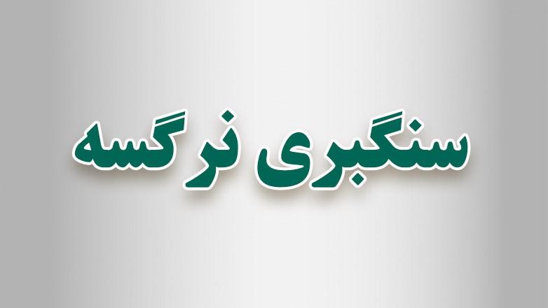 سنگبری نرگسه سنگبری نرگسه